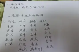 #十二生肖大小属相区分#视频封面