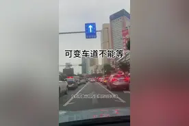 可变车道不能停车等待？ 这句话对了一半，左转和直行相互变换的可变车道可以等信号灯，不能等待的是直右可变车道！#新手上路 #交通安全 #驾驶技巧 #每天一个用车知识