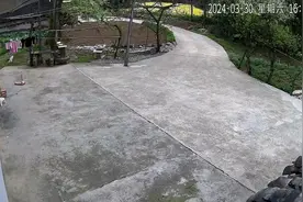哈哈哈😂 女儿也是随地大小便视频封面