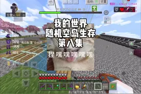 【我的世界】随机空岛生存第八集 恭迎蛤蟆入宫！#我的世界视频封面
