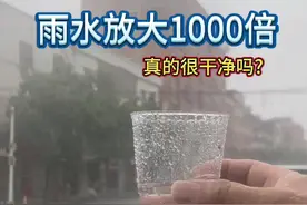 雨水放大1000倍！ 真的很干净吗？#雨水 #雨后的新鲜空气 #空气 #污染 #显微镜下的世界