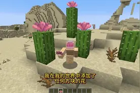 我在我的世界中添加了任何物品的花 #我的世界模组