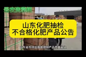 山东化肥抽检，不合格化肥产品公告#农资肥料 #抖音助农视频封面