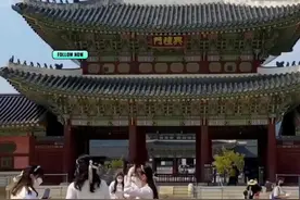 文化艺术交流--韩国行视频封面