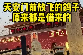 天安门前放飞的几万只鸽子，你知道怎么来的吗#科普知识 #有趣的知识又增长了 #涨知识