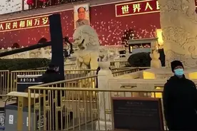 天安门前放飞的几万只鸽子，你知道怎么来的吗#科普知识 #有趣的知识又增长了 #涨知识