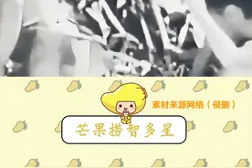 原来#哀牢山 以前真的有野人的啊#想你的风吹到了哀牢山 #苦聪人 #云南 #万万没想到视频封面