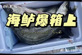 应该钓的算差的吧#厦门路亚  #非禁钓区域 #海鲈 #野外垂钓 #路亚视频封面
