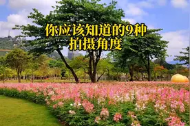你应该知道的9种拍摄角度，快速提升拍摄思路。#手机拍摄剪辑