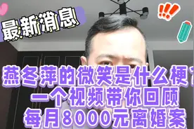 燕冬萍的微笑是什么梗？一个视频带你回顾每月8000元离婚案视频封面