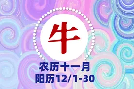 【古柏论命】2024农历十一月牛运12/1-30日#上热门 #传统文化视频封面