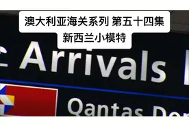 澳大利亚海关系列 第五十四集 新西兰小模特 #新西兰 #海外生活视频封面