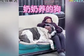 奶奶养的狗