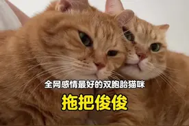 全网感情最好的双胞胎兄弟，腻歪程度不输任何一对小情侣视频封面