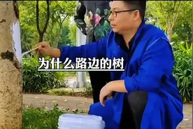 你知道为什么路边的树都要涂成白色的吗？#树 #涨知识视频封面