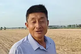 高温，干旱播种玉米不利于苗齐苗壮！#农业种植