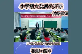 二年级下册语文优质公开课《七色花》阅读分享交流课视频封面