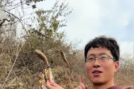 童年的有趣植物萝藦 这就是我们小时候被当做玩具的萝藦，你还记得它的名字吗？#大自然的馈赠 #萝藦 #童年的记忆 @抖音短视频