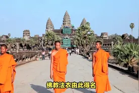 为什么佛教的法衣叫袈裟？视频封面