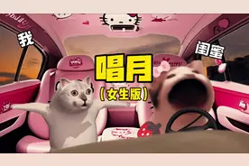 当我和闺蜜开车出去玩的时候，闺蜜唱了一首歌#猫meme小剧场视频封面