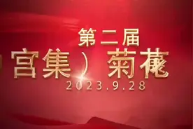 宫集镇一花为媒，以花聚友，深挖菊花产业链，一二三产有机融合视频封面