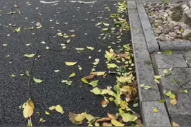 朋友们出门注意安全 风太大了，在外面骑车的朋友们一定要注意安全#日常vlog #外卖小哥 #风太大了要被吹走了视频封面