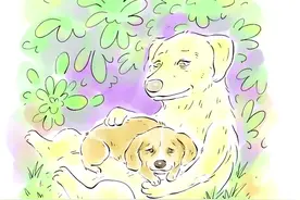 “妈妈的爱永远不会消失” （素材来源@关爱流浪狗（天小保））#画画#狗狗#万物皆有灵性 #母爱#感动视频封面
