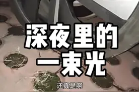 你永远可以相信 NIO SERVICE! #蔚来 #nioservice #道路救援 #et7 ##新能源汽车视频封面