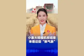 #三农快评 小麦大规模机收结束  来看这些“新气象”