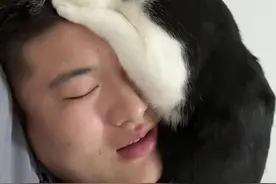 #谁能拒绝傻憨憨的小猫咪 #我镜头下的小猫 #黏人的小猫咪 #猫咪的心思都写在脸上了 #这小猫谁养谁不迷糊啊视频封面