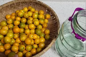 糖腌金桔，我也跟着抖音上腌了一罐，不知道能不能成功#润肺止咳视频封面