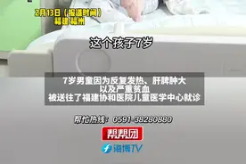 7岁男童撸流浪狗后 被确诊黑热病 医生：白蛉吸食患病流浪狗血液再叮人传播 接触流浪狗后长期不规则发热、牙龈出血者应警惕视频封面
