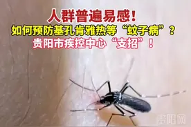 人群普遍易感！如何预防基孔肯雅热等“蚊子病”？贵阳市疾控中心“支招”！#蚊子 #基孔肯雅热 #传染视频封面