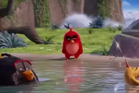 隔着屏幕我都好像感觉到他的绝望！##动画剪辑 #愤怒的小鸟视频封面