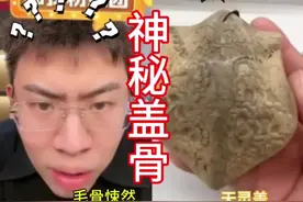 小哥收藏神秘头盖骨，看着怎么像人的天灵盖，竟然还收藏嘎巴拉视频封面