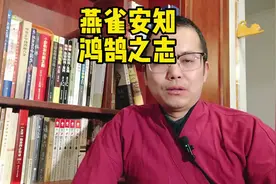 燕雀安知鸿鹄之志视频封面