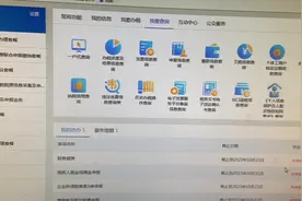 电子税务局申报记录导出及查询打印  #电子税务局 #纳税申报