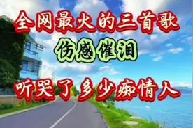 火遍全网的三首歌#好听又伤感 #歌词句句入心唱出了多少人的心声