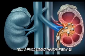 喝尿会死吗？视频封面