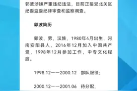 安阳市生态环境局北关分局环保监察大队彰北中队中队长郭波接受审查调查视频封面