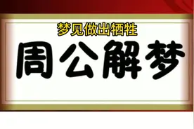 周公解梦之梦见做出牺牲 涉及做出牺牲的梦很多人都会梦到视频封面