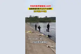 #狗狗 钓友的鱼竿被鱼拖入水中 狗子下水捞竿 #万万没想到@抖音短视频视频封面