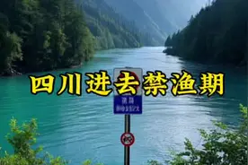 #四川进去禁渔期 #禁渔期钓鱼 #四川生态保护视频封面