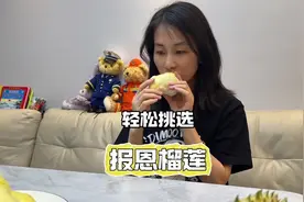 轻松挑选到一颗干包黄肉出肉率又高的报恩榴莲 #创作灵感 #榴莲
