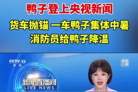 货车抛锚，一车鸭子集体中暑，消防员给鸭子降温#江西视频封面