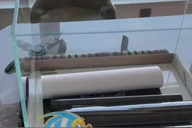 再开个小缸养两条奶茶#雷龙鱼 🐟，听说比较好养，买的7厘米长的，看看能养多大～