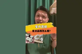 星月菩提怎么看好坏？星月菩提品相怎么看？星月星点什么样的好？ #文玩#菩提手串#文玩小白#知识科普视频封面