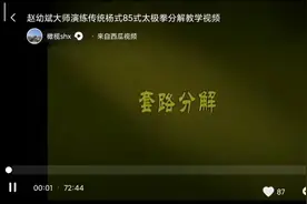 赵幼斌85式杨式太极拳分解教学