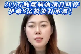（1.22）紧急叫停200万煤制油项目，伊泰8亿投资打水漂？ @WELINK塑料 #巨量算数 #化工 #煤制油 #伊泰 #化工装置视频封面