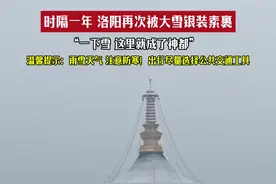 时隔一年，洛阳再次被大雪银装素裹！ 网友：一下雪，这里就成了神都…#洛阳 #下雪